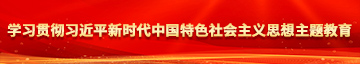 玩弄乡间老妇黑bb学习贯彻习近平新时代中国特色社会主义思想主题教育