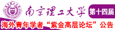 骚鸡吃大鸡巴淫叫操逼南京理工大学第十四届海外青年学者紫金论坛诚邀海内外英才！